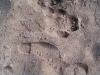Hippo spoor in the sand